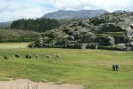 PICTURES/Cusco Ruins - Sacsayhuaman/t_P1240739.JPG